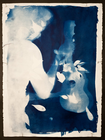 Meg Pritchard '14, Photogram on hand-coated cyanotype.